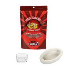 Pangea with Insects Complete Gecko Diet 56g, Small Reptile Feeding Dish Bowl, White Ceramic Reptile Food Bowl NFF-49 - COMBO