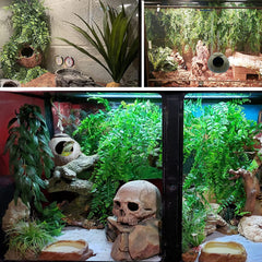 Coconut Husk Hut Reptile Habitat Accessories Hideout Hanging