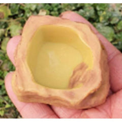 Reptile Water Bowl Terrarium Water Dish Food Feeding for Amphibian 5 Sizes