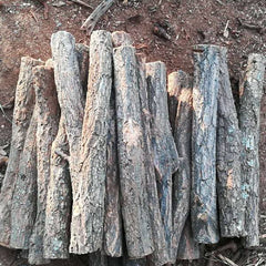 Aquarium Decoration Betta Log Champagne Tree Trunk Decor Stone Base Straight Trunk Hideout Fish Tank Ornament for Cichlid Shrimp Reptile Turtle