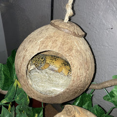 Coconut Husk Hut Reptile Habitat Accessories Hideout Hanging