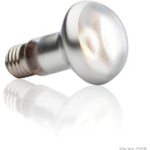 Exo Terra Reptile Intense Basking Spot Light Increase Luminous Intensity (4 Sizes)