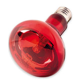 Nomoy Bearded Dragon Lizard Turtle Hermit Red Night Light Bulb 100W-ND 21