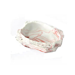 Nomoypet Reptile Feeding Bowl NS-65 – Non-Toxic Resin Food & Water Dish for Reptiles