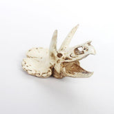 Nomoypet Resin Hide Decoration for Aquarium and Terrarium Landscape NS-116