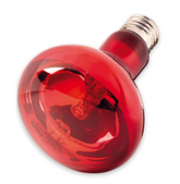 Nomoy Bearded Dragon Lizard Turtle Hermit Red Night Light Bulb 100W-ND 21