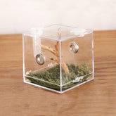 Spider Small Pet Insect Breeding Box 6.8 x 6.5 x 6.5cm