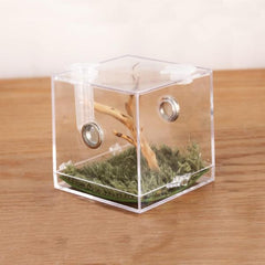 Spider Small Pet Insect Breeding Box 6.8 x 6.5 x 6.5cm