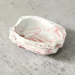 Nomoypet Reptile Feeding Bowl NS-65 – Non-Toxic Resin Food & Water Dish for Reptiles