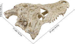 Crocodile Reptile Amphibian Skull Habitat Hide  NS-72/22x6.5cm