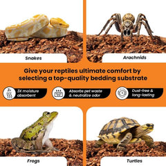 Coconut Husk for Reptiles Bedding Coco Coir Chips Terrarium Substrate 70g