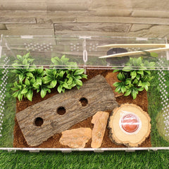 Acrylic Breeding Box High Quality (3 Sizes)