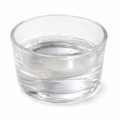 Reptile Glass Feeding Bowl – Small / Medium Sizes