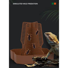 B&K Reptile Feeding Bowl for Live Insects