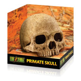 Exo Terra Primate Skull – Realistic Terrarium Hide