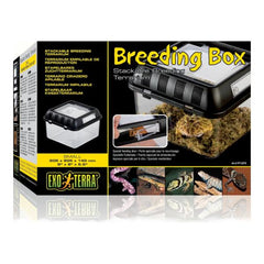 Exo Terra Breeding Box – Small & Medium