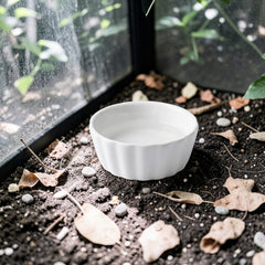 Ceramic Flower Edge Feeding Dish 8 × 3 cm – Small Reptile Food & Water Bowl for Terrariums