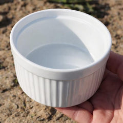 Ceramic Reptile Feeding Dish Bowl – White