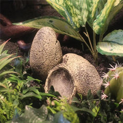 Nomoy Dinosaur Eggs Hideout NS-113