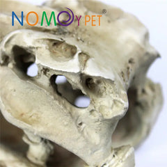 Nomoypet Crocodile Head Decoration Firm and Stable NS-60