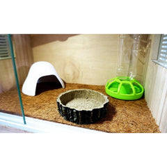 Reptile Vivarium Feeding Pan Turtle Horned Frog Water Food Bowl