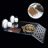 Turtle Floating Platform, Turtle Basking Platform Stand, Acrylic Terrace Turtle Bask Terrace Island Floating Basking Platform, Climb Terrarium Aquarium Tank 3 Sizes