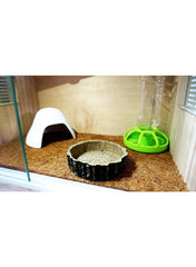 Reptile Vivarium Feeding Pan Turtle Horned Frog Water Food Bowl