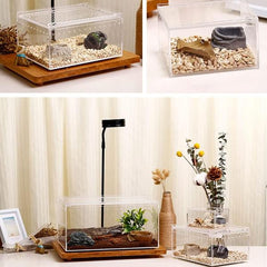 Acrylic Breeding Box for Reptiles 30x20x15cm
