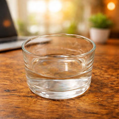 Reptile Glass Feeding Bowl – Small / Medium Sizes