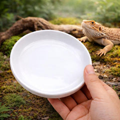 Reptile Feeding Dish 22 – 13 x 2.8 cm
