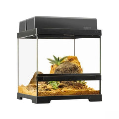 Exo Terra Pro Terrarium X-Small Wide 30 x 30 x 30 cm