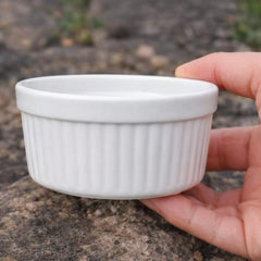 Ceramic Reptile Feeding Dish Bowl – White