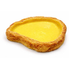 Reptile Water Bowl Terrarium Water Dish Food Feeding for Amphibian 5 Sizes