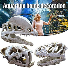 Dinosaur Skull Head Decor 2-H4/18x8.5x14cm