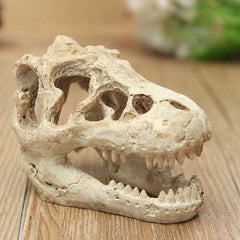 dinasour skull 8.5x5.5X4.5cm