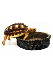 Reptile Vivarium Feeding Pan Turtle Horned Frog Water Food Bowl