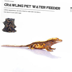 Crawling Pet Food Feeder Lizards Reptile Water Bowl Easy Terrarium Decor