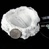 NOMOYPET Reptile Food Dish NS-61