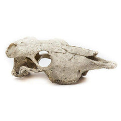 NOMOYPET Exotic Reptile Hide Landscape Skull Bone NS-74