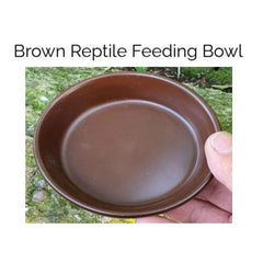Reptile Feeding Dish Brown Color- 9.5x2.6cm