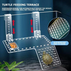Acrylic Hanging Turtle Ladder (Medium & Large)