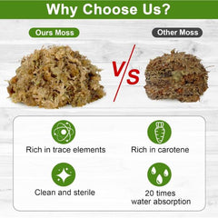 Moss - Natural dry - 12L