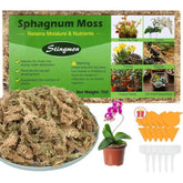 Moss - Natural dry - 12L