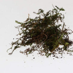 Natural Reptile Terrarium Moss, Substrate Turtle Tank Terrarium Moss - Green, 250G / 500G/ 1000G