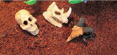 Aquarium Animal Skull Decor