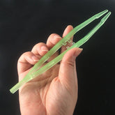 NOMOY PET Feeding Tweezer NZ-09 (Green)