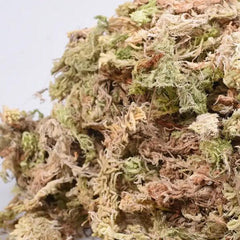 Houyi Sphagnum Moss – 12 Liters