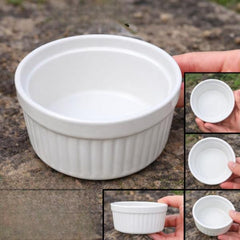 Ceramic Reptile Feeding Dish Bowl – White