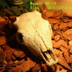 NOMOYPET Exotic Reptile Hide Landscape Skull Bone (21x7.5cm)