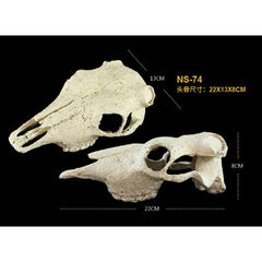 NOMOYPET Exotic Reptile Hide Landscape Skull Bone (21x7.5cm)
